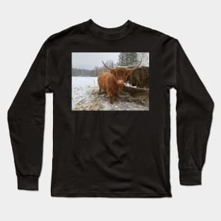 Young Highland  Cattle Cow and half eaten hay bale on a feeder Long Sleeve T-Shirt